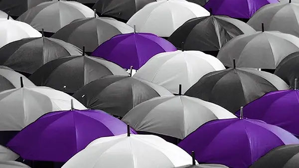 insurance ppc services umbrella cascade