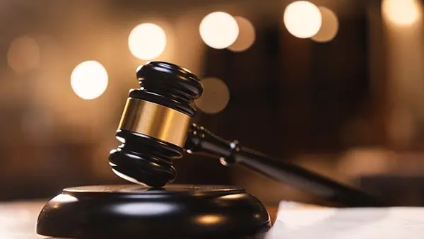 legal link building authority gavel