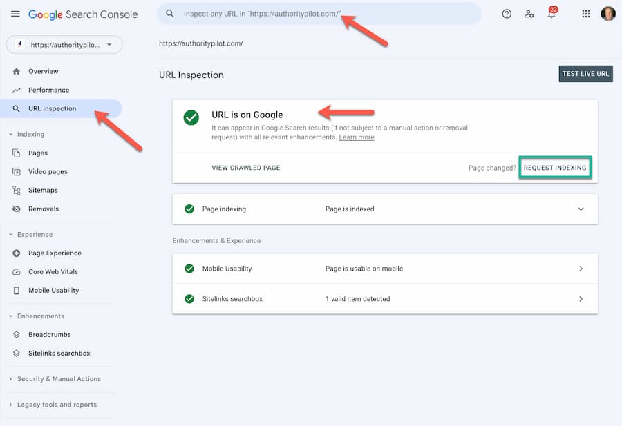 google search console check indexing status